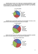 Referāts 'Viduslaiku piļu - Bauskas, Cēsu, Raunas, Turaidas, Valmieras un Ventspils - izma', 28.