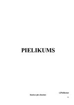 Referāts 'Viduslaiku piļu - Bauskas, Cēsu, Raunas, Turaidas, Valmieras un Ventspils - izma', 41.