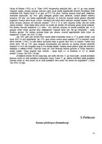 Referāts 'Viduslaiku piļu - Bauskas, Cēsu, Raunas, Turaidas, Valmieras un Ventspils - izma', 45.