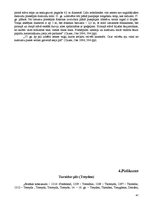 Referāts 'Viduslaiku piļu - Bauskas, Cēsu, Raunas, Turaidas, Valmieras un Ventspils - izma', 47.