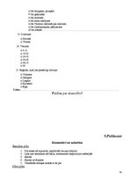 Referāts 'Viduslaiku piļu - Bauskas, Cēsu, Raunas, Turaidas, Valmieras un Ventspils - izma', 59.