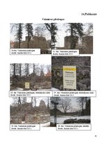 Referāts 'Viduslaiku piļu - Bauskas, Cēsu, Raunas, Turaidas, Valmieras un Ventspils - izma', 70.