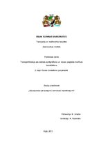 Paraugs 'Transportlīdzekļa ass slodzes aprēķināšana', 1.