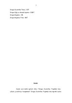 Referāts 'Eiropas Savienības vispārējā tiesa', 3.