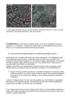 Konspekts 'Urbanizācijas procesi un pilsētu apdzīvojuma attīstība', 5.