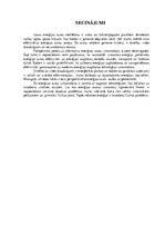 Referāts 'Alternatīvā enerģija', 6.