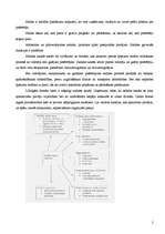 Konspekts 'Sadales kanāli un produktu pārvietošana', 2.