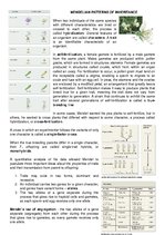 Konspekts 'Mendelian Patterns of Inheritance', 1.