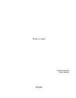 Referāts 'Redze un brilles', 1.