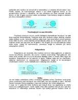 Referāts 'Redze un brilles', 5.