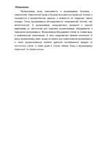 Referāts 'Архитектурно - строительный раздел', 15.