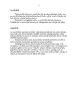 Referāts 'Leksikoloģija', 5.