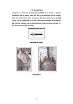 Konspekts 'Žāvētas gaļas ražošana', 5.