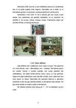 Konspekts 'Žāvētas gaļas ražošana', 11.