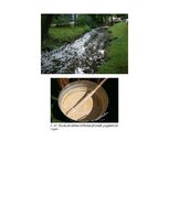 Referāts 'Virsmas aktīvas vielas', 1.