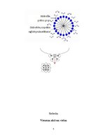 Referāts 'Virsmas aktīvas vielas', 4.