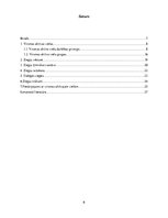 Referāts 'Virsmas aktīvas vielas', 6.