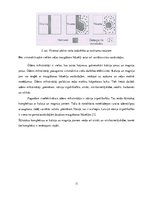 Referāts 'Virsmas aktīvas vielas', 11.