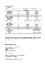 Biznesa plāns 'Biznesa plāns autoservisam', 12.