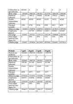 Biznesa plāns 'Biznesa plāns autoservisam', 16.