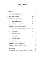 Referāts 'Juridiskais pozitīvisms', 3.