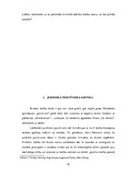 Referāts 'Juridiskais pozitīvisms', 19.