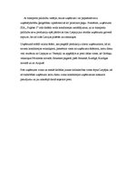 Eseja 'Transporta loma loģistikā', 4.