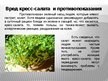 Prezentācija 'Влияние состава жидкости на рост кресс-салата', 5.