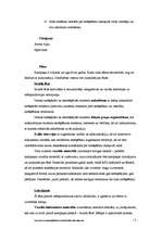 Konspekts 'Pretsmēķēšanas kampaņas plāns', 3.