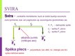Prezentācija 'Svira', 2.