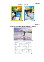 Diplomdarbs 'Cukura diabēta pacientu pašaprūpes izglītība', 114.