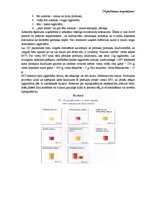 Diplomdarbs 'Cukura diabēta pacientu pašaprūpes izglītība', 124.