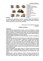 Diplomdarbs 'Cukura diabēta pacientu pašaprūpes izglītība', 127.