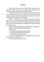 Referāts 'Izglītības iestādes budžeta veidošanas principi un metodika', 3.