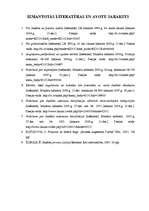 Referāts 'Izglītības iestādes budžeta veidošanas principi un metodika', 25.