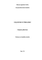 Biznesa plāns 'Plāns ceļojumam uz Šrilanku', 1.