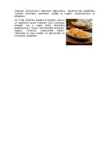 Biznesa plāns 'Plāns ceļojumam uz Šrilanku', 11.