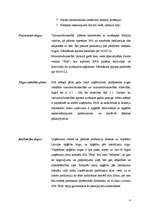 Biznesa plāns 'Biznesa plāns', 4.