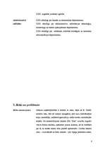 Biznesa plāns 'Biznesa plāns', 9.