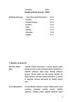 Biznesa plāns 'Biznesa plāns', 11.