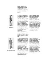 Konspekts 'Tabulas "Mērnieku laiki"', 5.