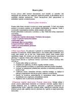 Referāts 'Biznesa plāna struktūra', 1.