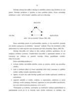 Diplomdarbs 'Skolēnu patstāvības sekmēšana klasvadībā sākumskolā', 22.