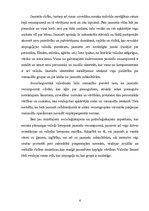 Referāts 'Jauniešu valoda mūsdienās', 6.