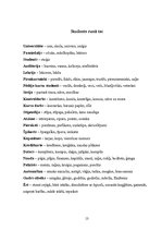 Referāts 'Jauniešu valoda mūsdienās', 13.