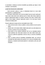 Referāts 'Uzņēmuma kreditēšanas kārtība un iespējas', 11.