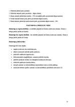 Referāts 'Uzņēmuma kreditēšanas kārtība un iespējas', 18.