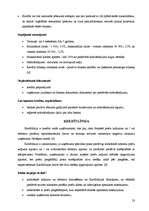 Referāts 'Uzņēmuma kreditēšanas kārtība un iespējas', 23.