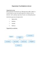 Referāts 'Organizācijas X psiholoģiskais raksturs', 3.