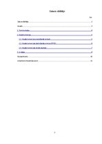 Referāts 'Klusā komercija - e-mājas', 2.